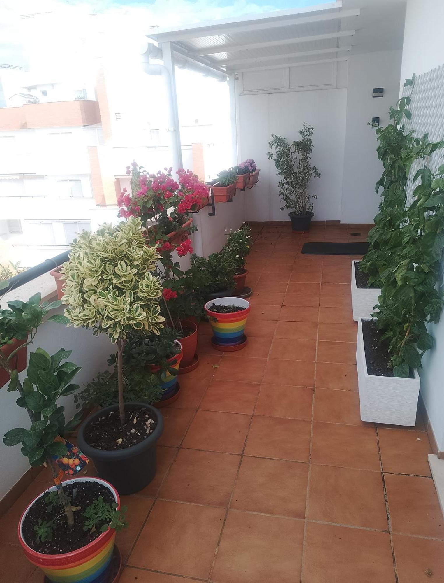 Golf, Piscina,Playa Lejlighed Roquetas de Mar Eksteriør billede