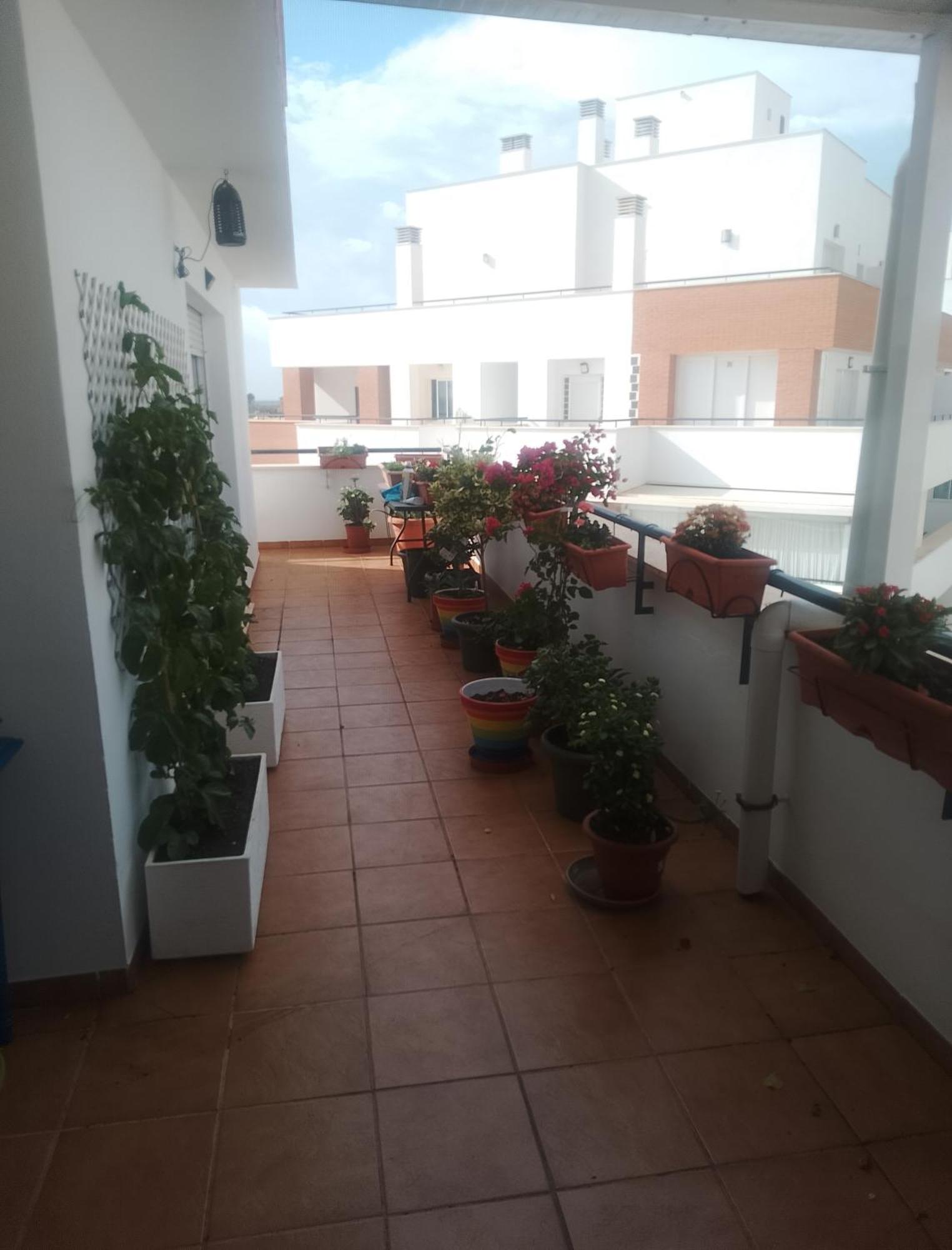 Golf, Piscina,Playa Lejlighed Roquetas de Mar Eksteriør billede